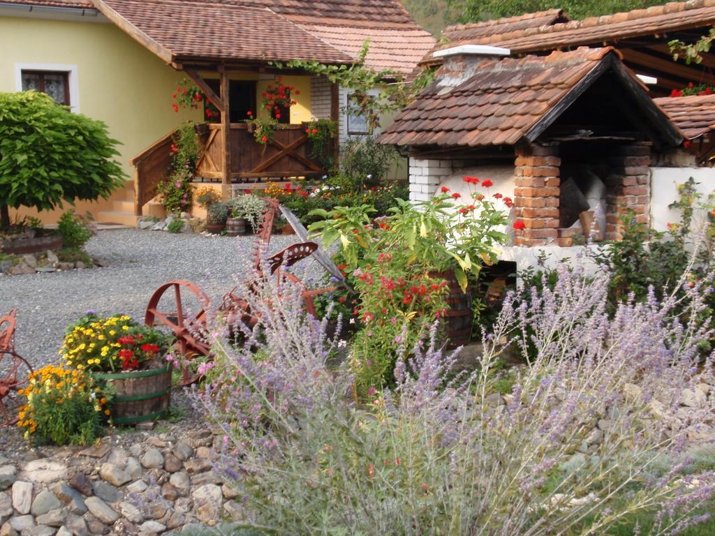 Country House Stara Kapela Nova Kapela Extérieur photo